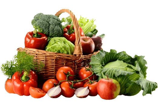 Food & Agriculture